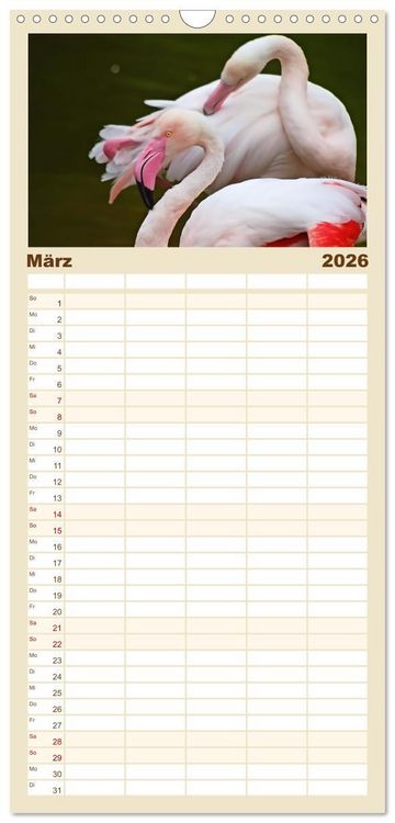 Produktbild: Familienplaner 2026 - Flamingo Zauber mit 5 Spalten (Wandkalender, 21 x 45 cm) CALVENDO