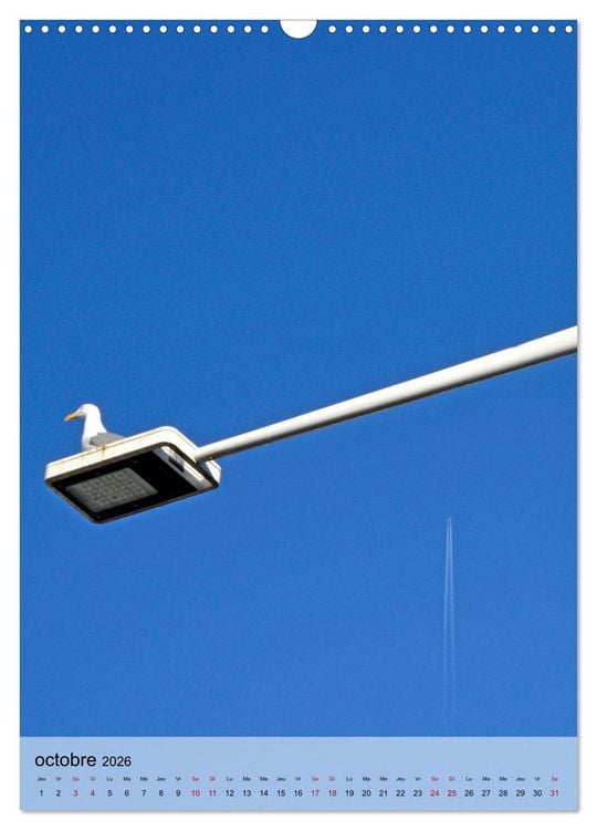 Produktbild: La mouette (Calendrier mural 2026 DIN A3 horizontal), CALVENDO calendrier mensuel