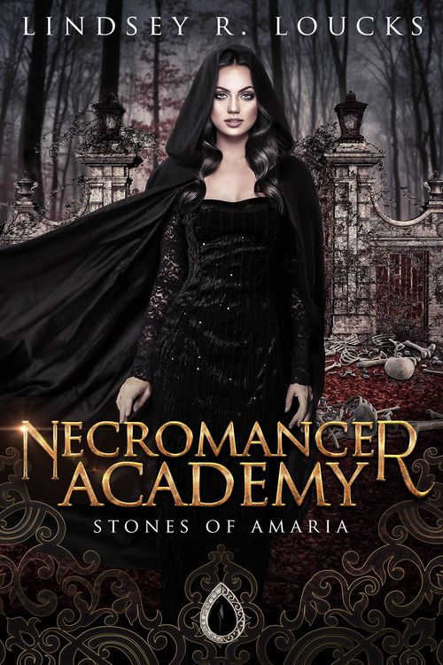 Produktbild: Necromancer Academy