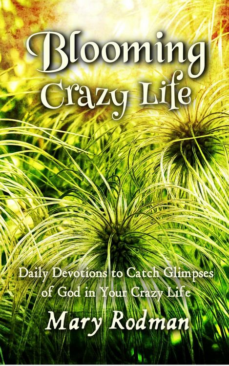 Produktbild: Blooming Crazy Life: Daily Devotions to Catch Glimpses of God in your Crazy Life