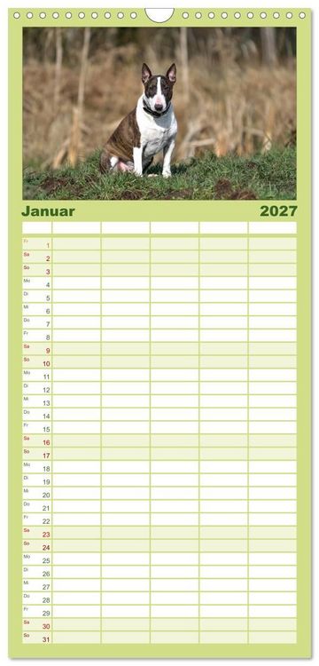 Produktbild: Familienplaner 2027 - Einmal Bullterrier - immer Bullterrier mit 5 Spalten (Wandkalender, 21 x 45 cm) CALVENDO