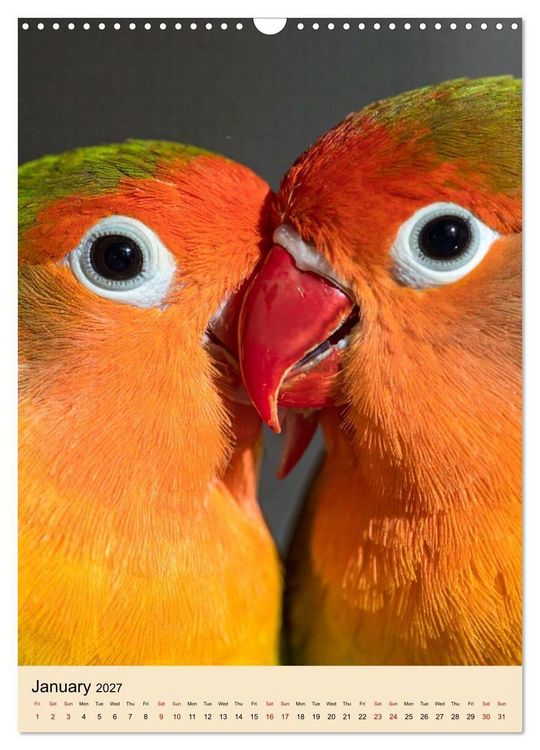 Produktbild: Little Birds in Love (Wall Calendar 2027 DIN A3 portrait), CALVENDO 12 Month Wall Calendar