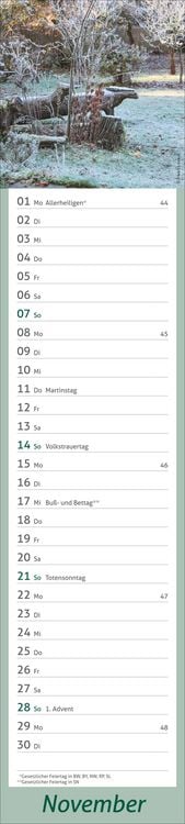 Produktbild: times&more Garten Langplaner 2027