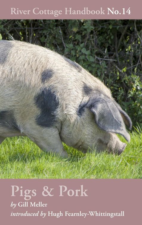 Produktbild: Pigs & Pork
