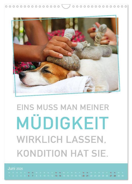 Produktbild: Tierisch bekloppt! (Wandkalender 2026 DIN A3 hoch), CALVENDO Monatskalender