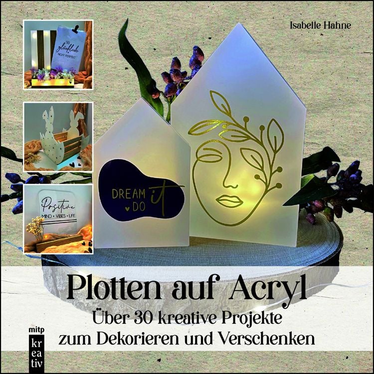 Bild vom Artikel Plotten auf Acryl vom Autor Isabelle Hahne