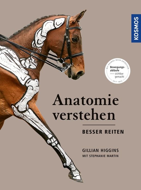 Produktbild: Anatomie verstehen - besser reiten