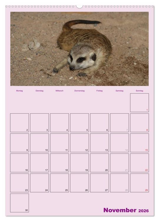 Produktbild: Erdm&auml;nnchen / Terminplaner (Wandkalender 2026 DIN A2 hoch), CALVENDO Monatskalender
