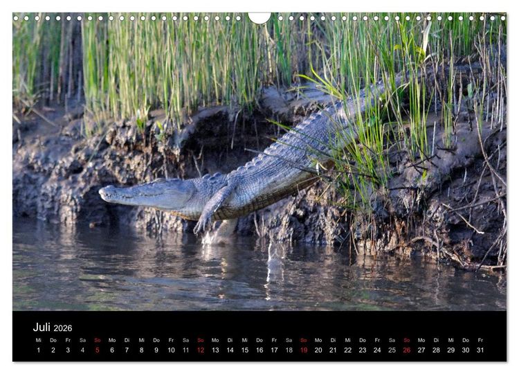Produktbild: Wildes Australien - Naturparadies 5. Kontinent (Wandkalender 2026 DIN A3 quer), CALVENDO Monatskalender