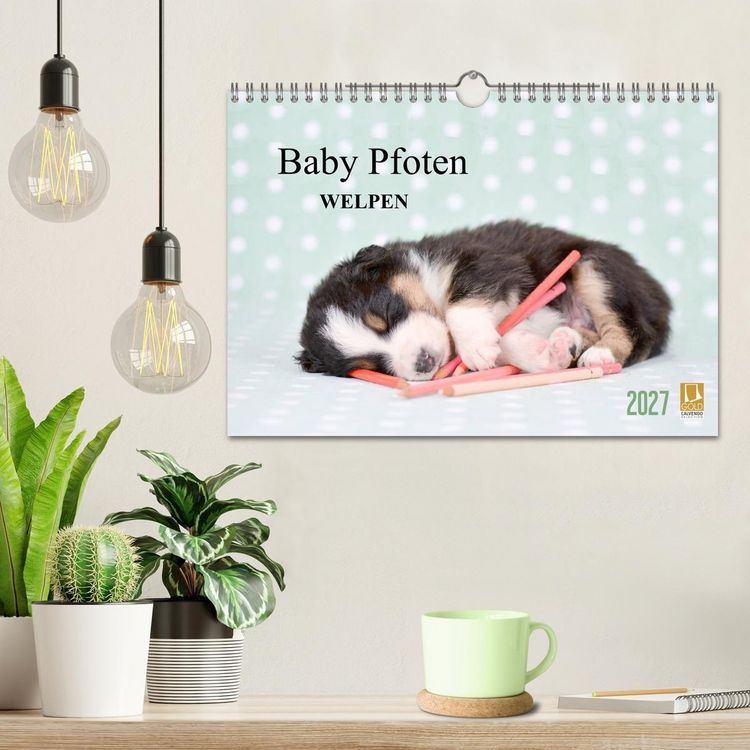 Produktbild: Baby Pfoten (Wandkalender 2027 DIN A4 quer), CALVENDO Monatskalender