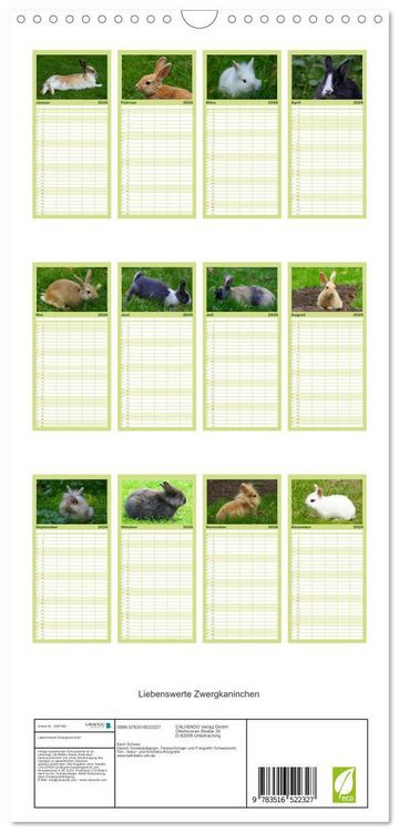 Produktbild: Familienplaner 2026 - Liebenswerte Zwergkaninchen mit 5 Spalten (Wandkalender, 21 x 45 cm) CALVENDO