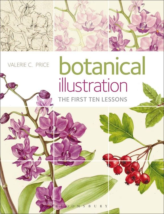 Produktbild: Botanical Illustration