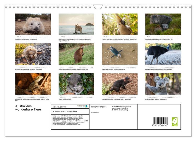 Produktbild: Australiens wunderbare Tiere (Wandkalender 2026 DIN A3 quer), CALVENDO Monatskalender