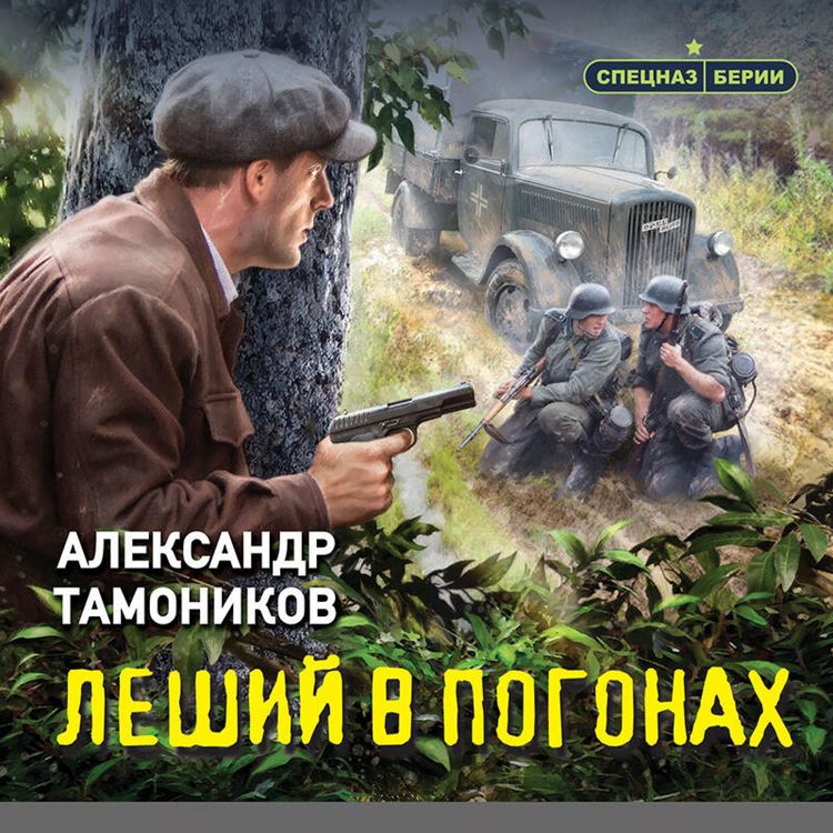 Produktbild: Leshiy v pogonah