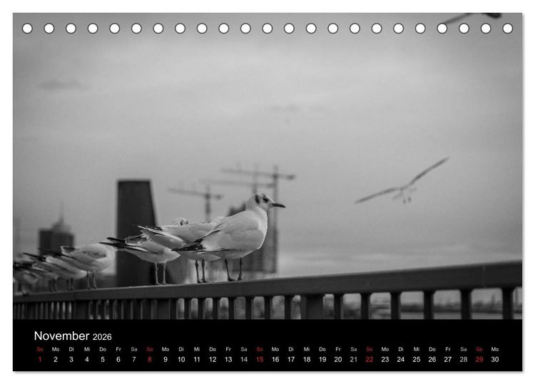 Produktbild: Mein Hamburg (Tischkalender 2026 DIN A5 quer), CALVENDO Monatskalender
