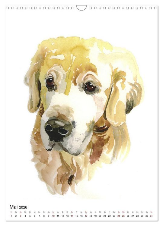 Produktbild: Hunde Portr&auml;ts in Aquarell (Wandkalender 2026 DIN A3 hoch), CALVENDO Monatskalender
