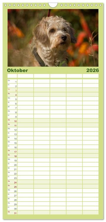 Produktbild: Familienplaner 2026 - Faszination Hund mit 5 Spalten (Wandkalender, 21 x 45 cm) CALVENDO