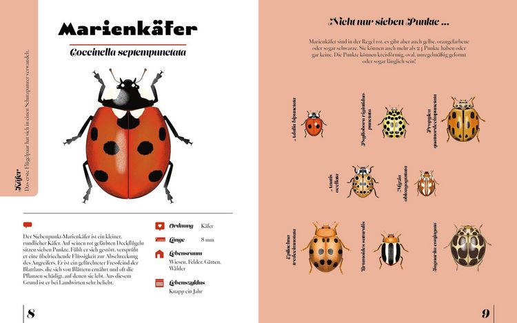 Produktbild: Insekten & Krabbeltiere