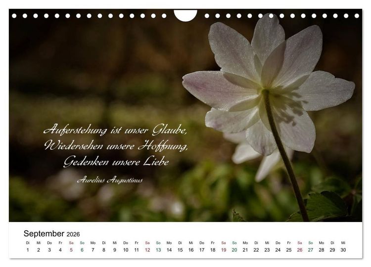 Produktbild: Zeit f&uuml;r Trauer - begleitet mit Zitaten (Wandkalender 2026 DIN A4 quer), CALVENDO Monatskalender