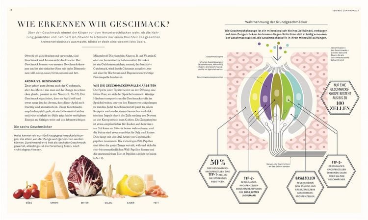Produktbild: So funktioniert Geschmack