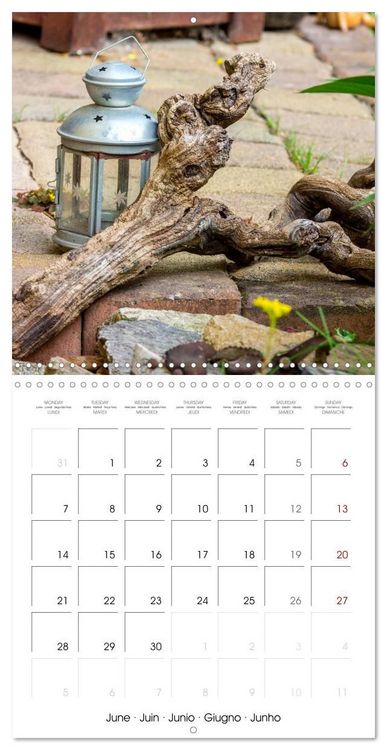 Produktbild: Harriette`s sweet garden (Wall Calendar 2027 12 &times; 12 Inch) CALVENDO 12 Month Wall Calendar