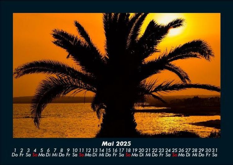 Produktbild: Palmentraum 2025 Fotokalender DIN A5