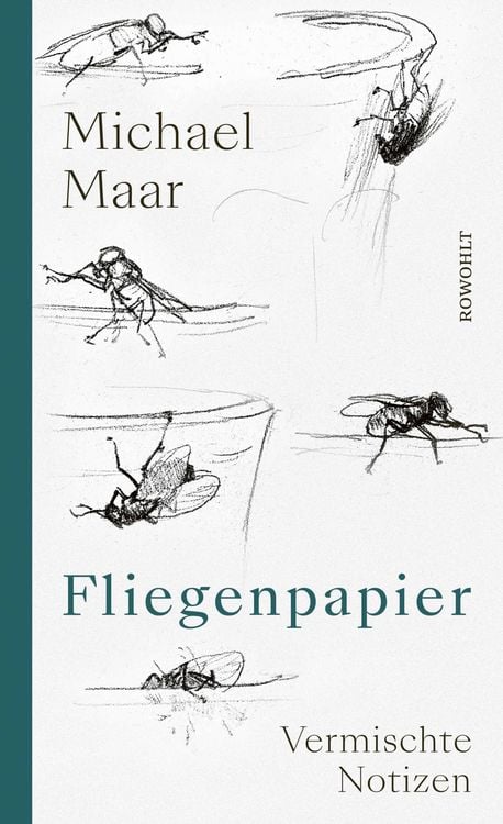 Produktbild: Fliegenpapier