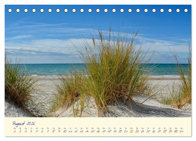 Produktbild: OSTSEEGL&Uuml;CK - Gl&uuml;cksmomente auf dem Dar&szlig; (Tischkalender 2026 DIN A5 quer), CALVENDO Monatskalender