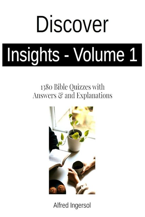 Produktbild: Discover Insights-Volume 1