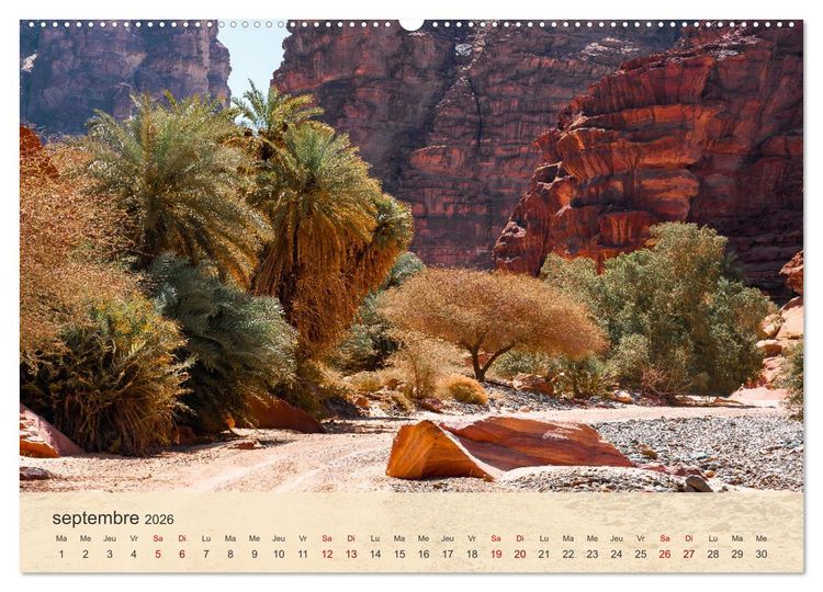 Produktbild: Arabie Saoudite - Royaume des fascinations (Calendrier mural 2026 DIN A2 vertical) calendrier de bureau