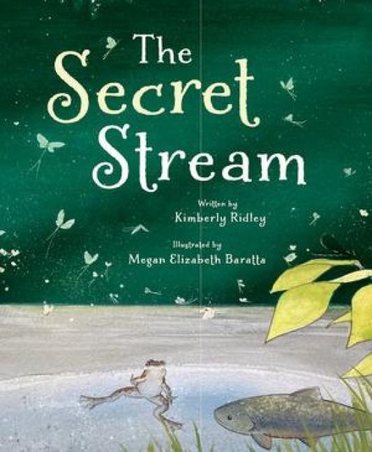 Produktbild: The Secret Stream