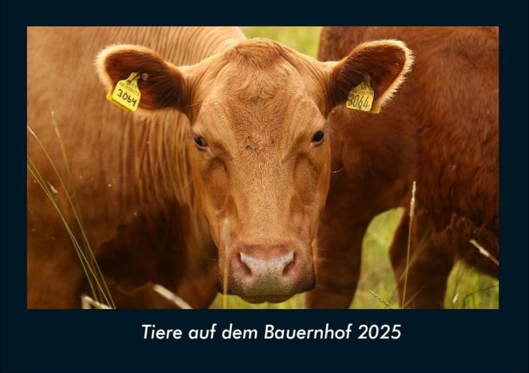 Produktbild: Tiere auf dem Bauernhof 2025 Fotokalender DIN A4