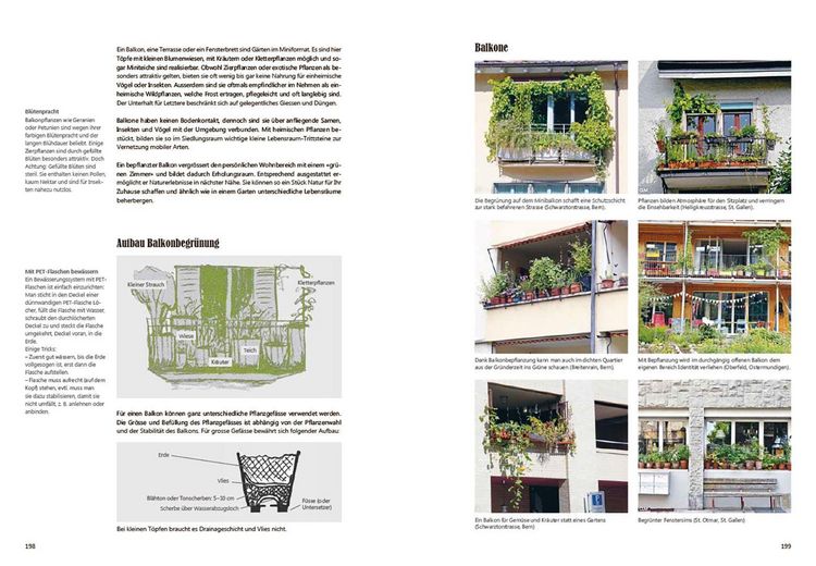 Produktbild: Praxishandbuch Stadtnatur