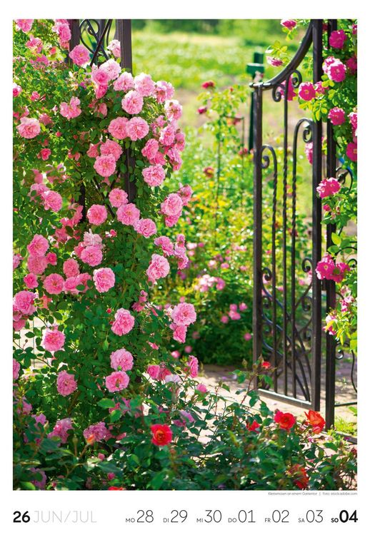Produktbild: Garten Wochenkalender 2027