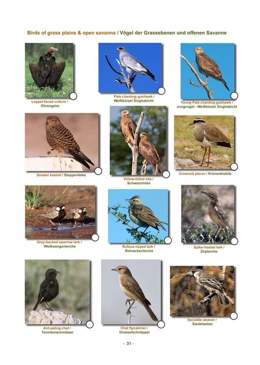 Produktbild: ETOSHA KARTE mit Fotogalerie