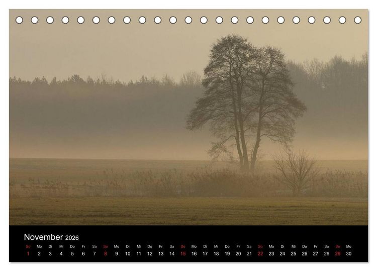 Produktbild: B&auml;ume (Tischkalender 2026 DIN A5 quer), CALVENDO Monatskalender