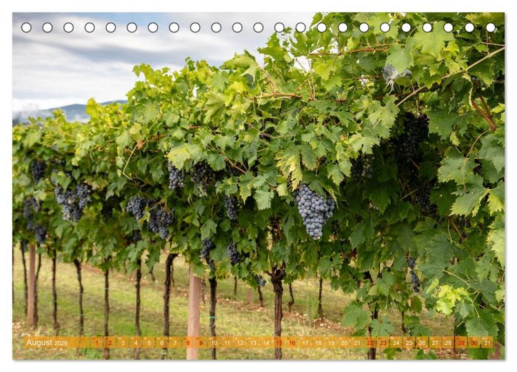 Produktbild: Valpolicella (Tischkalender 2026 DIN A5 quer), CALVENDO Monatskalender