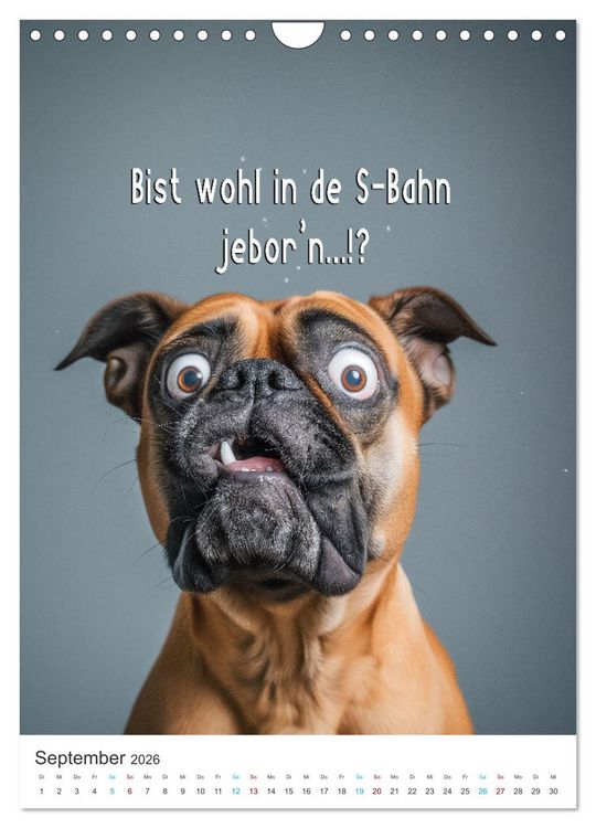 Produktbild: Lustige Tiere (Wandkalender 2026 DIN A4 hoch), CALVENDO Monatskalender