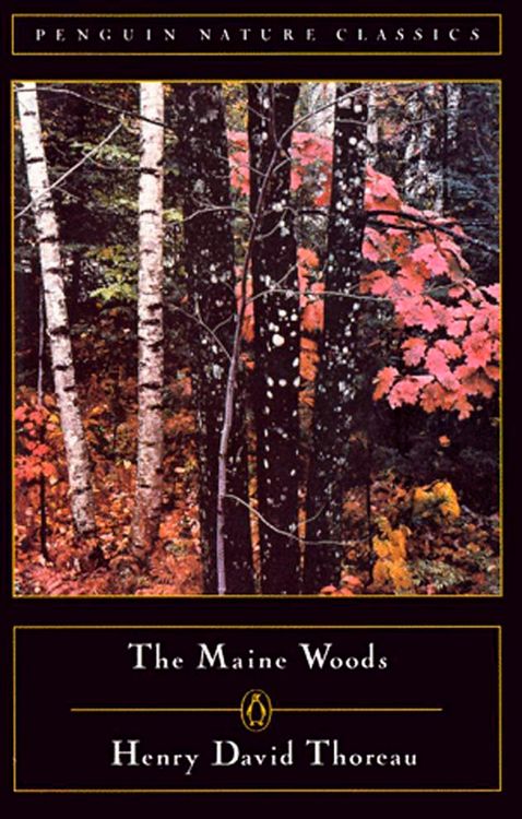 Produktbild: The Maine Woods