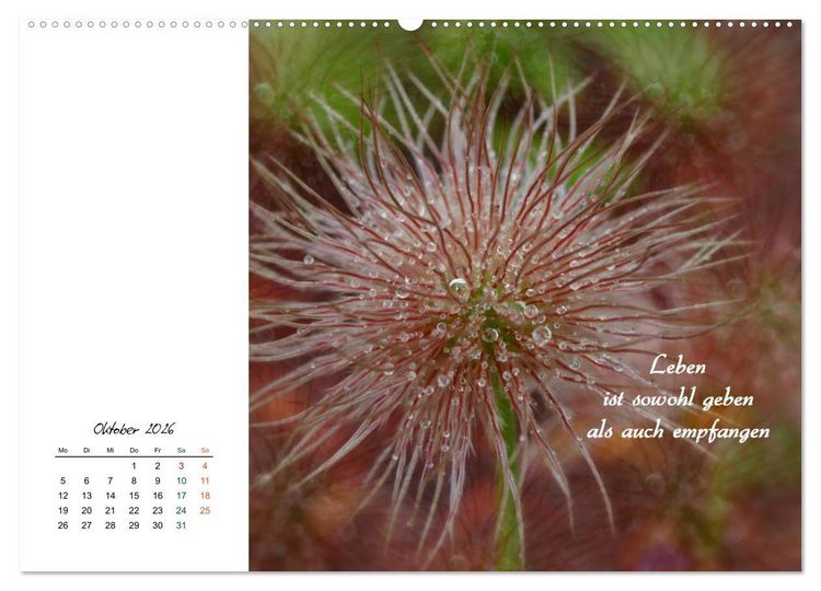 Produktbild: Innehalten in der Natur ... mit Weisheiten und Sprichworten der Indianer (hochwertiger Premium Wandkalender 2026 DIN A2 quer), Kunstdruck in Hochglanz
