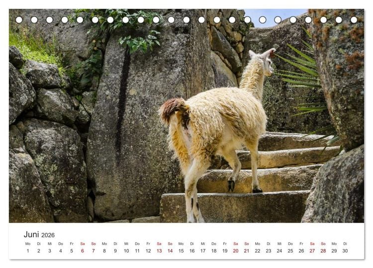 Produktbild: Macchu Picchu (Tischkalender 2026 DIN A5 quer), CALVENDO Monatskalender