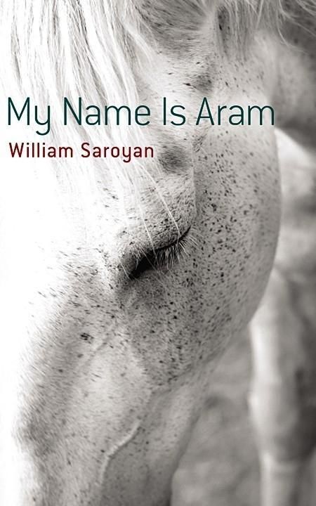 Produktbild: My Name Is Aram