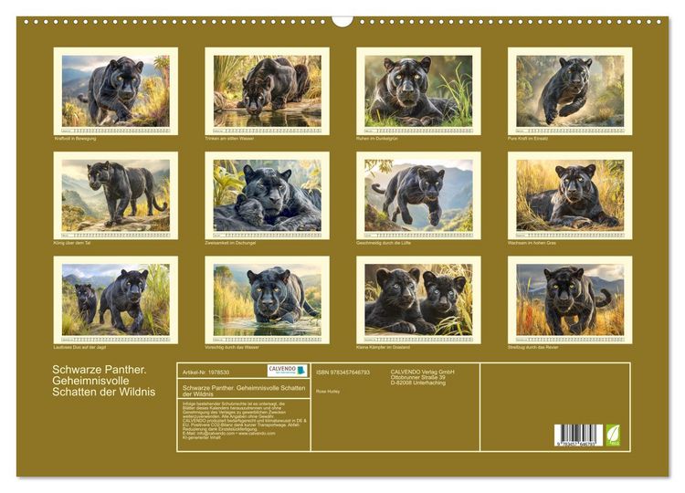 Produktbild: Schwarze Panther. Geheimnisvolle Schatten der Wildnis (Wandkalender 2026 DIN A2 quer), CALVENDO Monatskalender