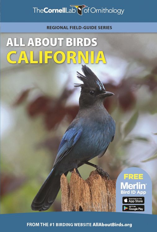 Produktbild: All about Birds California