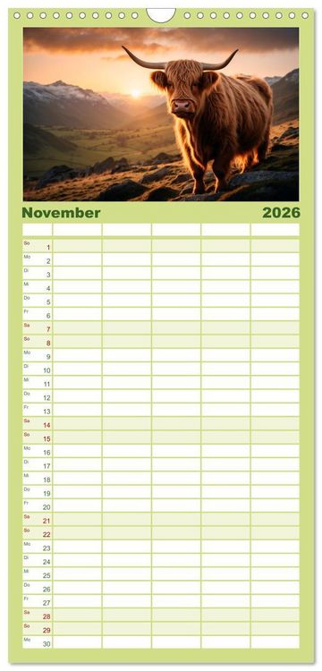 Produktbild: Familienplaner 2026 - Highland K&uuml;he mit 5 Spalten (Wandkalender, 21 x 45 cm) CALVENDO