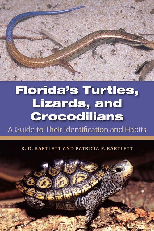 Produktbild: Florida's Turtles, Lizards, and Crocodilians