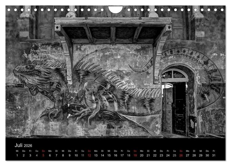 Produktbild: lost beauty (Wandkalender 2026 DIN A4 quer), CALVENDO Monatskalender