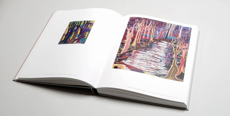 Produktbild: Shara Hughes: Pivot