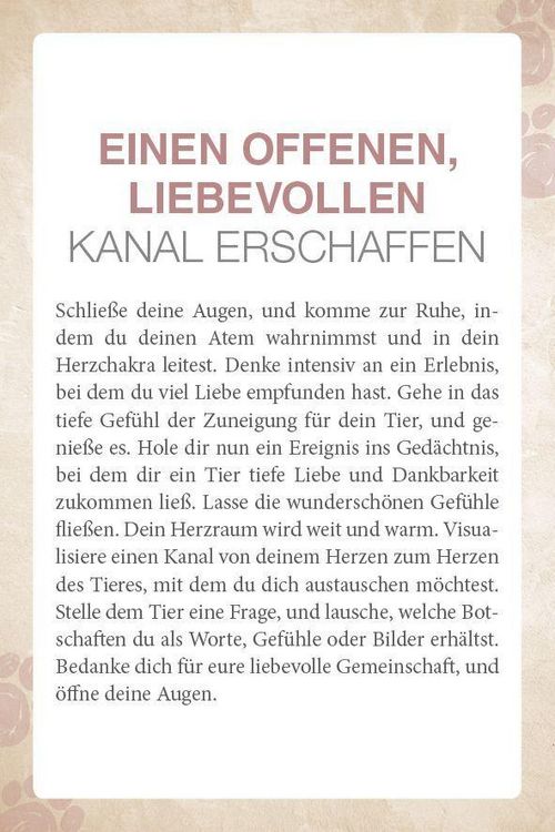Produktbild: Mit Tieren kommunizieren