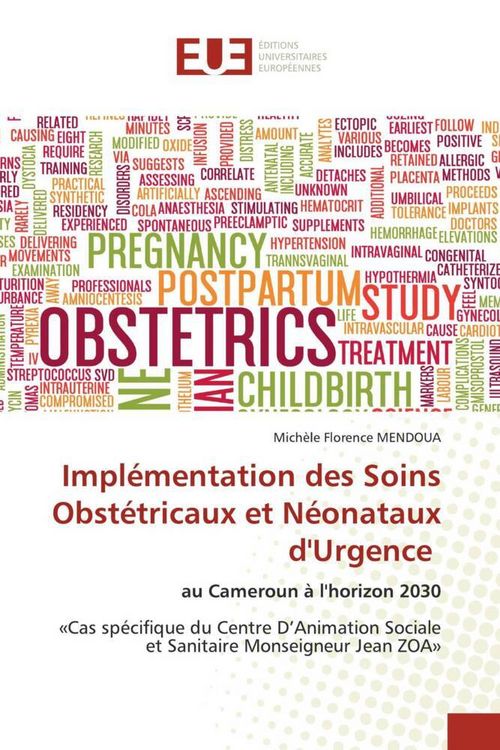 Produktbild: Impl&eacute;mentation des Soins Obst&eacute;tricaux et N&eacute;onataux d'Urgence